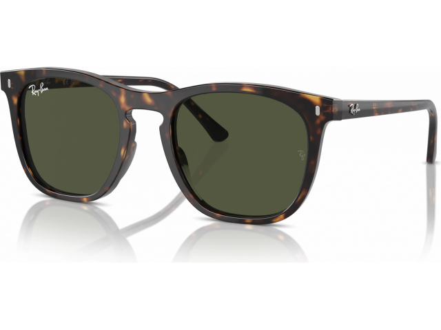 Ray-Ban RB2210 902/31 Tortoise