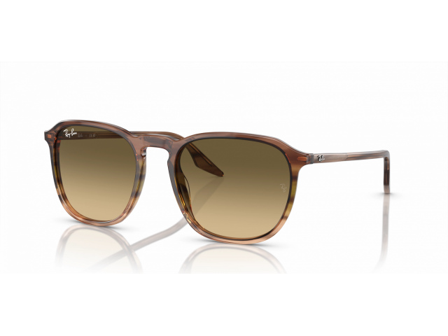 Ray-Ban RB2203 13920A Brown