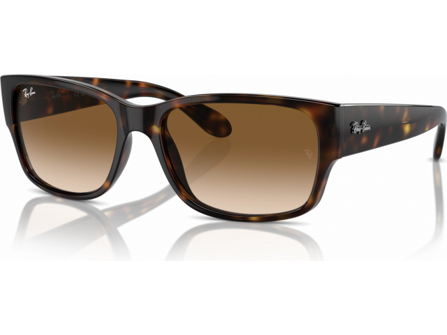 Ray-Ban RB4388 710/51 Tortoise