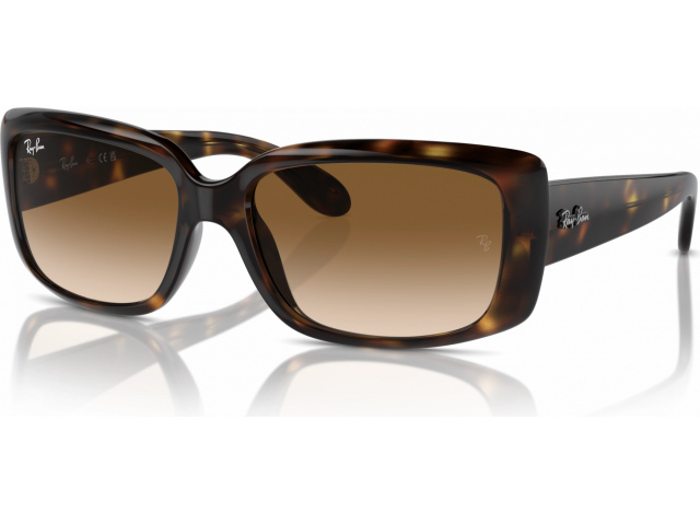 Ray-Ban RB4389 710/51 Tortoise