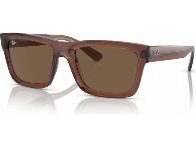 Ray-Ban WARREN RB4396 667873 Brown