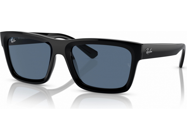 Ray-Ban WARREN RB4396 667780 Black