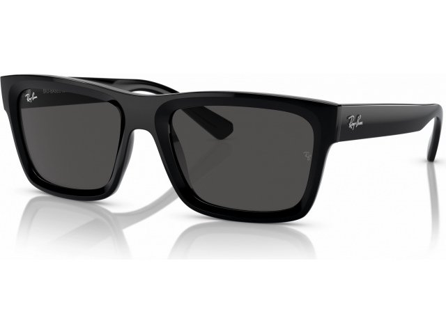 Ray-Ban WARREN RB4396 667787 Black