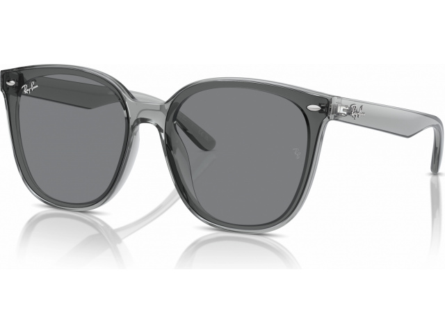 Ray-Ban RB4423D 645087 Grey