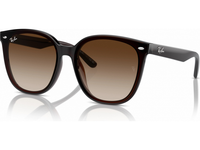 Ray-Ban RB4423D 714/13 Brown