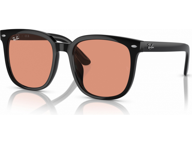 Ray-Ban RB4401D 601/74 Black