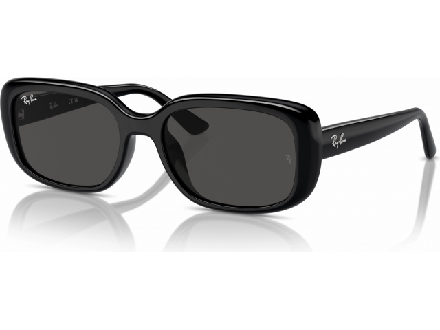 Ray-Ban RB4421D 667787 Black