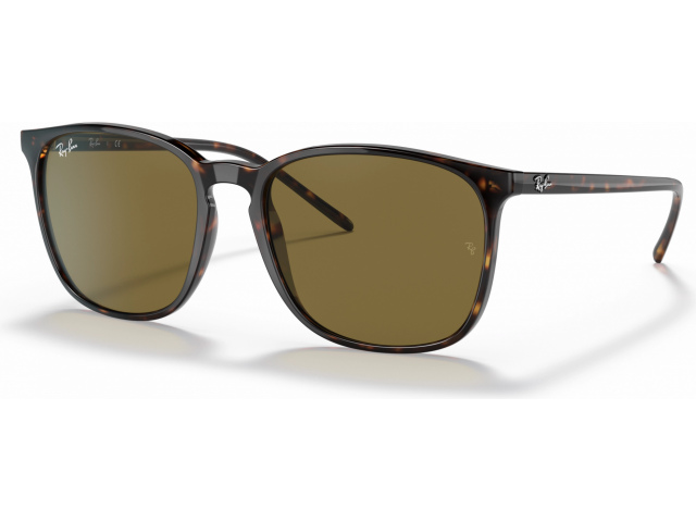 Ray-Ban RB4387F 902/73 Tortoise