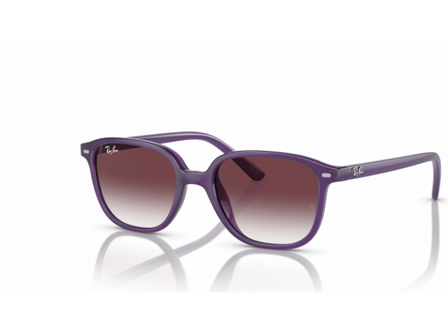 Ray-Ban JUNIOR LEONARD RJ9093S 713136 Violet