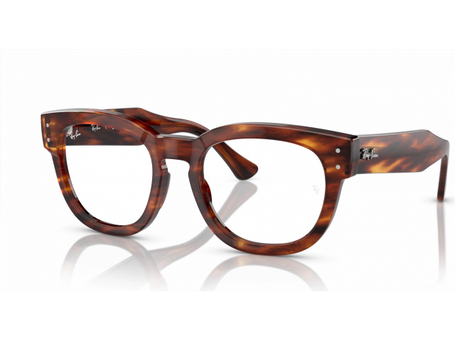 Ray-Ban MEGA HAWKEYE RX0298V 2144 Brown