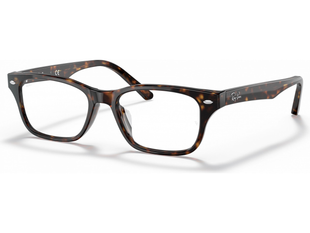 Ray-BanRX5345D 2012 Brown