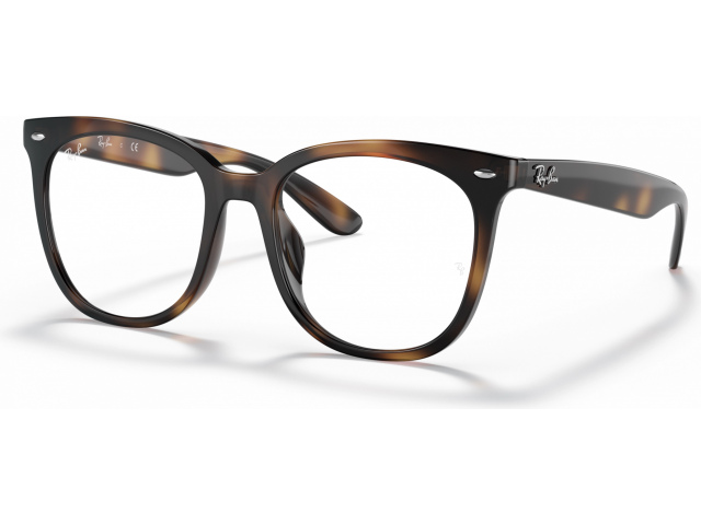 Ray-Ban RX4379VD 2012 Tortoise