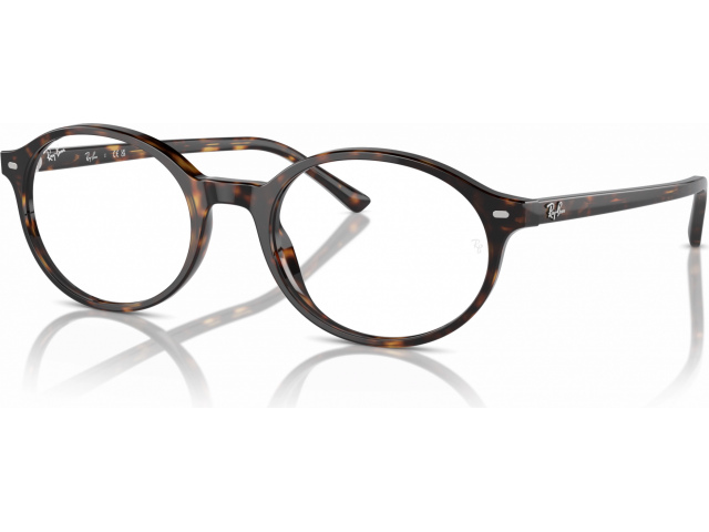 Ray-Ban GERMAN RX5429 2012 Tortoise