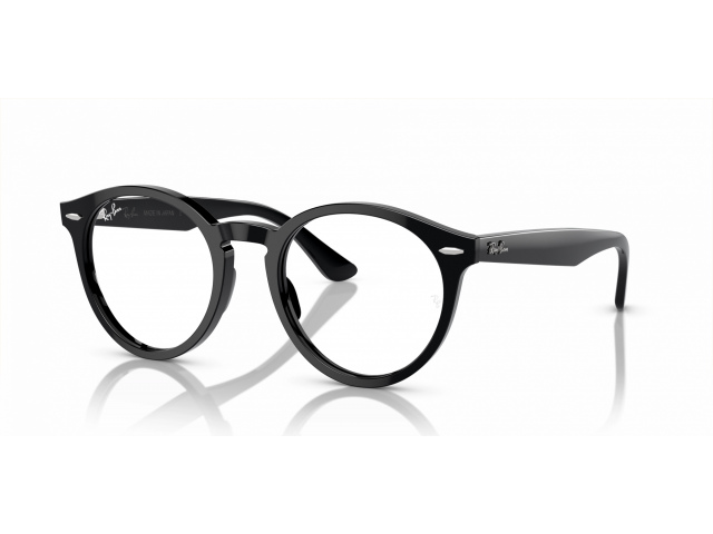 Ray-Ban LARRY RX7680V 2000 Black