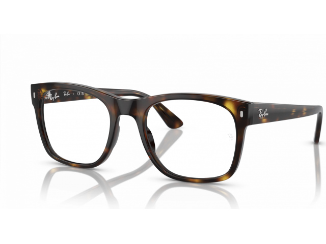 Ray-Ban RX7228 2012 Tortoise