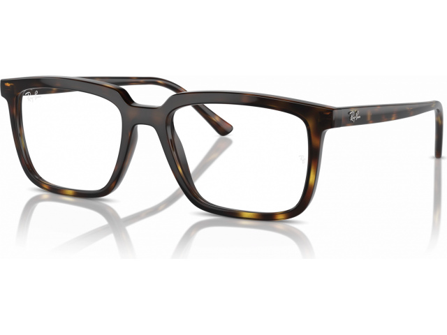 Ray-Ban ALAIN RX7239 2012 Tortoise