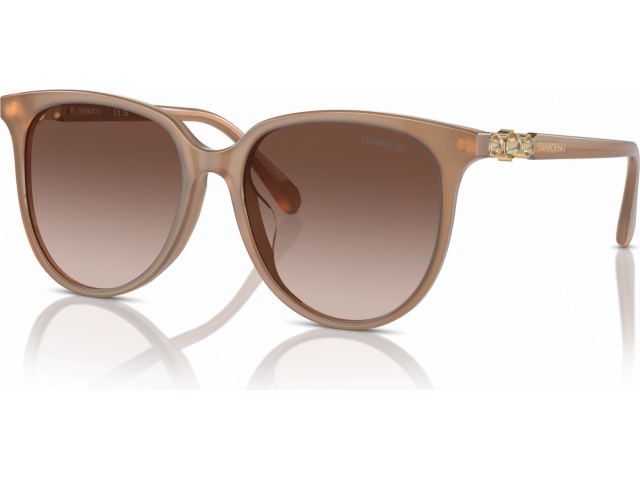 Swarovski SK6023D 200213 Brown