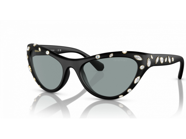 Swarovski SK6007 1020/1 Black