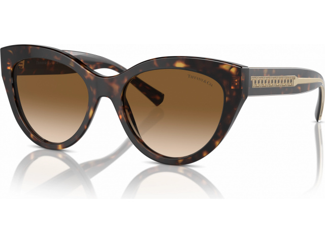 Tiffany TF4220 801551 Tortoise