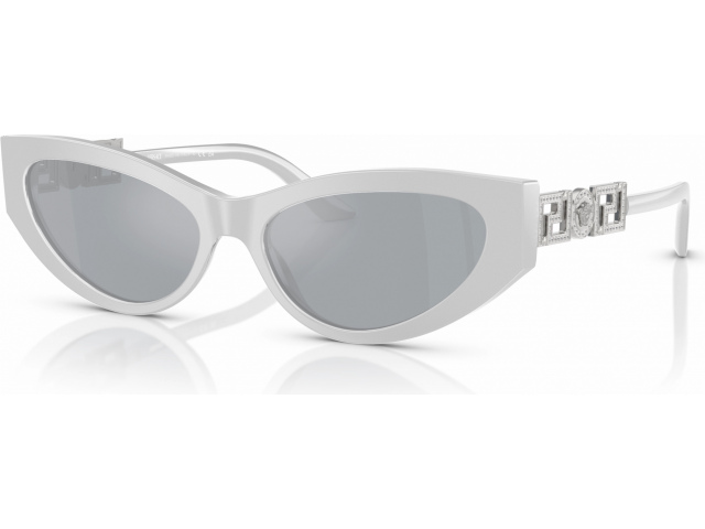 Versace VE4470B 54741U Grey