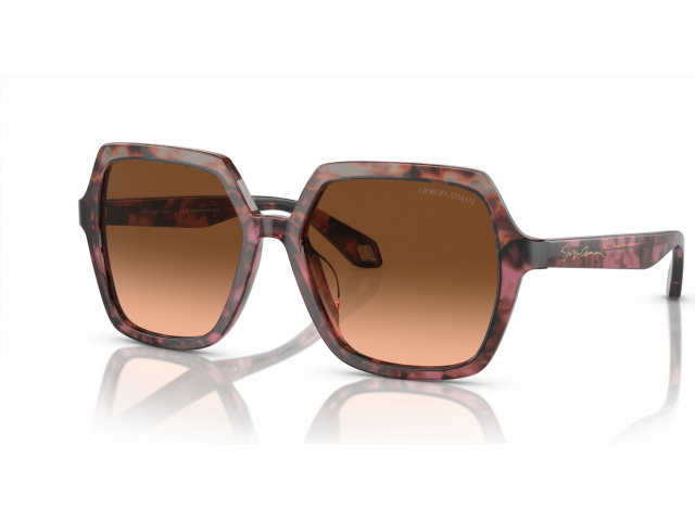 Giorgio Armani AR8193U 60320A Brown