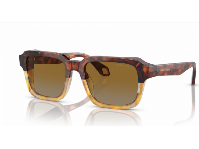 Giorgio Armani AR8194U 6034B2 Brown