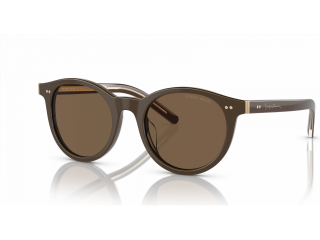 Giorgio Armani AR8199U 604073 Brown