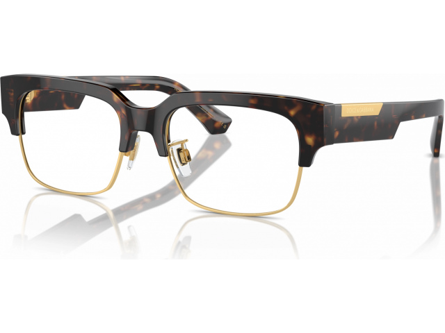 Dolce & Gabbana DG3388 502 Tortoise