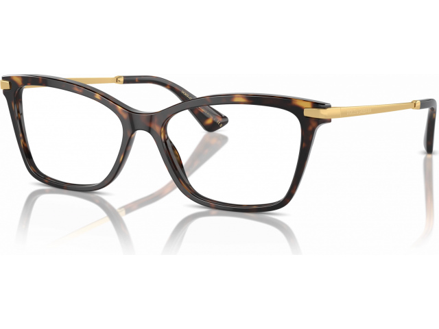 Dolce & Gabbana DG3393 502 Tortoise