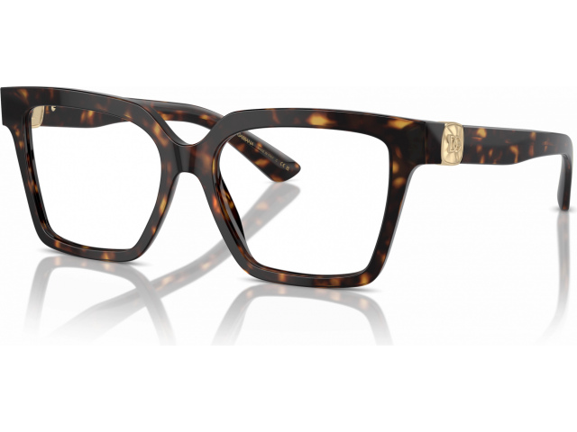 Dolce & Gabbana DG3395 502 Tortoise