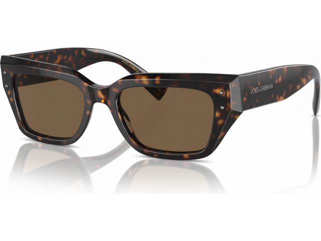 Dolce & Gabbana DG4462 502/73 Tortoise