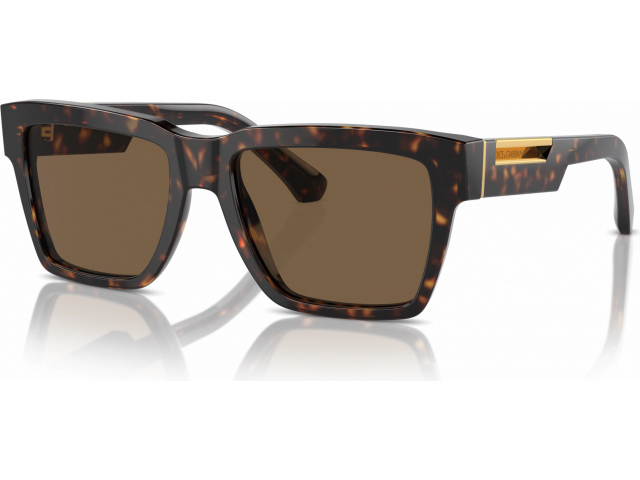 Dolce & Gabbana DG4465 502/73 Tortoise