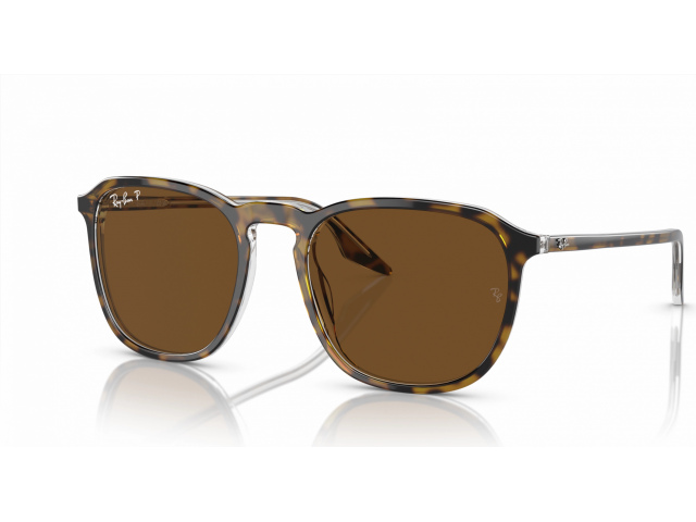 Ray-Ban RB2203 139357 Tortoise