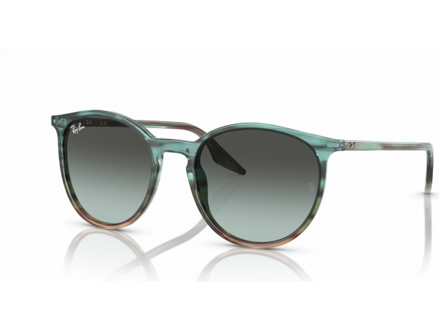 Ray-Ban RB2204 1394GK Multicolor