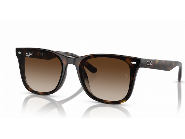 Ray-Ban RB4420 710/13 Tortoise