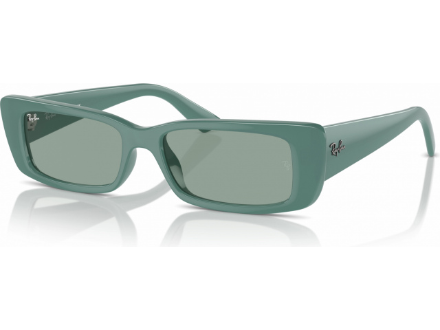 Ray-Ban TERU RB4425 676282 Green