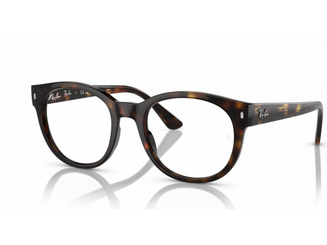 Ray-Ban RX7227 2012 Tortoise