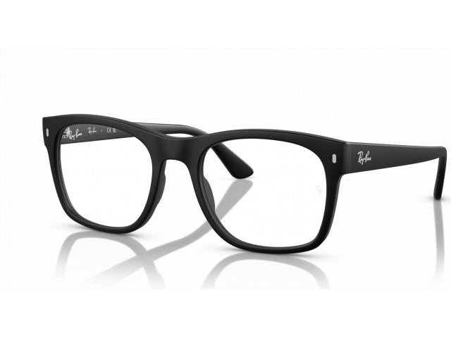 Ray-Ban RX7228 2477 Black