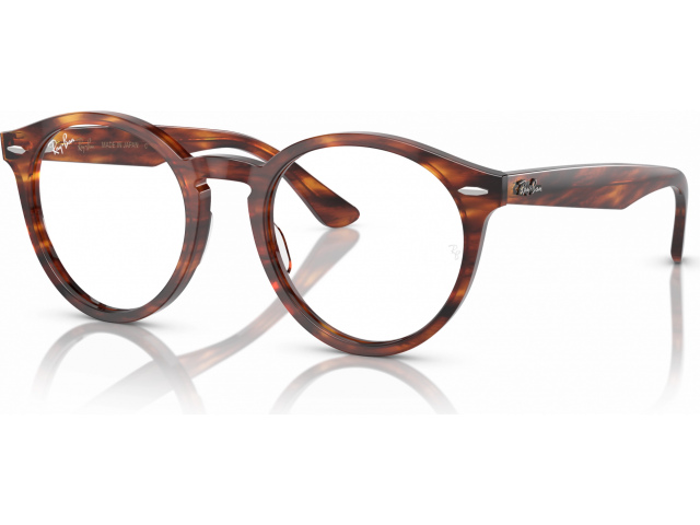 Ray-Ban LARRY RX7680V 2144 Brown