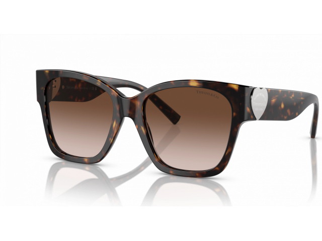 Tiffany TF4216 80153B Tortoise