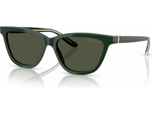 Giorgio Armani AR8221 617331 Green