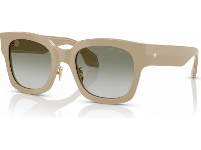 Giorgio Armani AR8223 61618E Grey