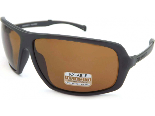 Солнцезащитные очки Serengeti Alassio 8101
