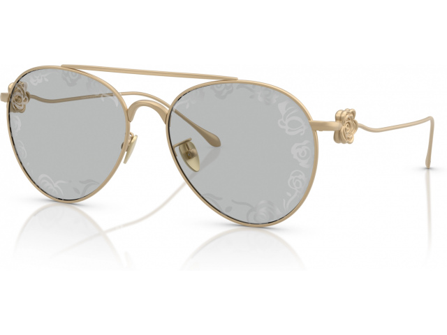 Giorgio Armani AR6167 3002AL Gold