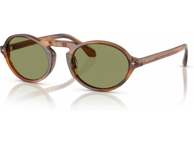 Giorgio Armani AR8219U 616314 Tortoise