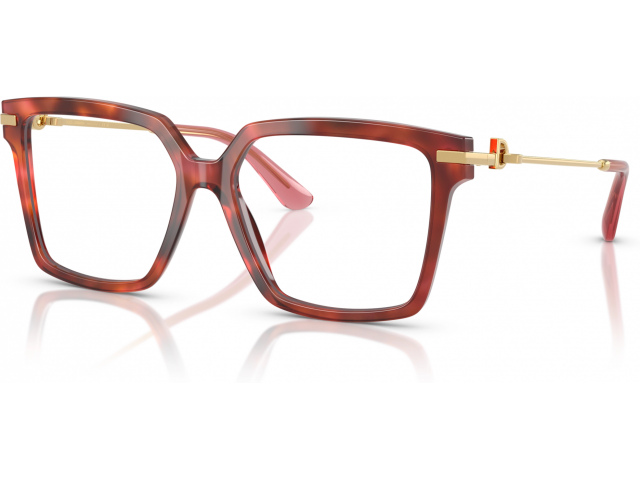 Dolce & Gabbana DG3397 3444 Tortoise