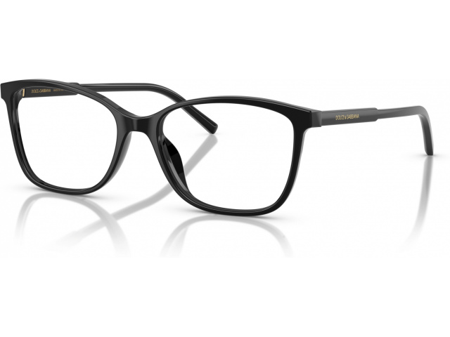 Dolce & Gabbana DG3424 501 Black