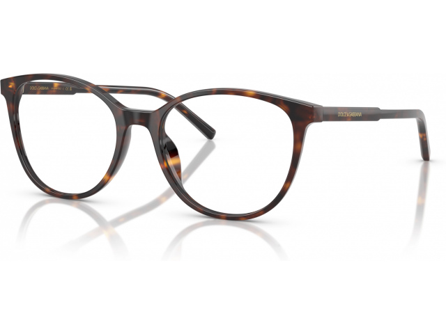 Dolce & Gabbana DG3425 502 Tortoise