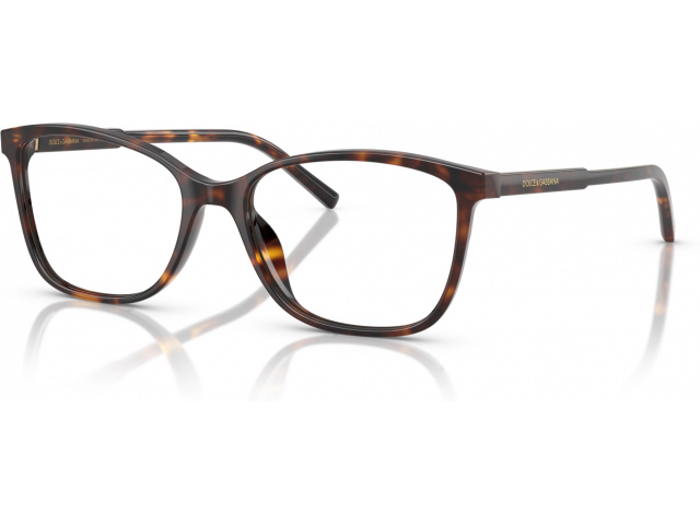 Dolce & Gabbana DG3424 502 Tortoise