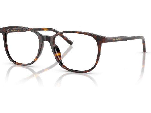 Dolce & Gabbana DG3426 502 Tortoise